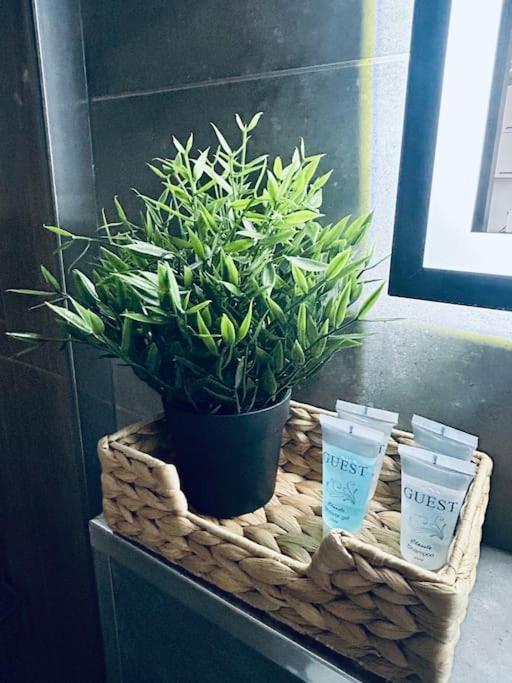 Apartament Stary Szczecin Bagian luar foto