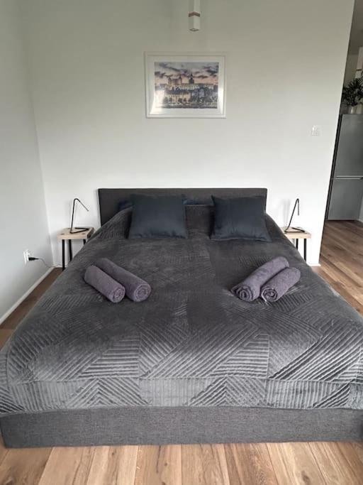Apartament Stary Szczecin Bagian luar foto