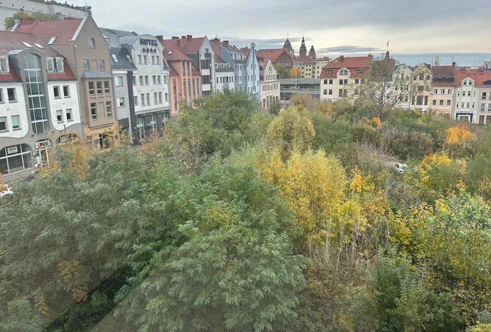 Apartament Stary Szczecin Bagian luar foto